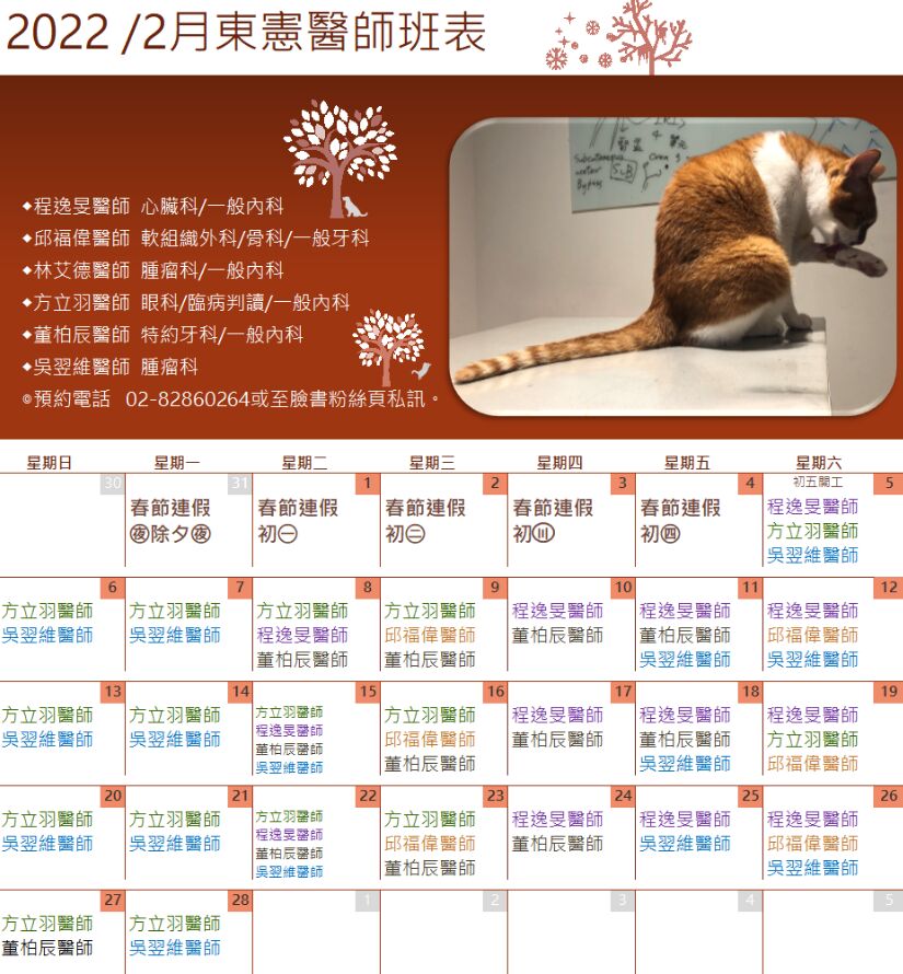 2月最新醫師班表